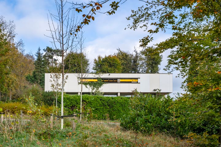 Foto 4 van Lomboklaan 24