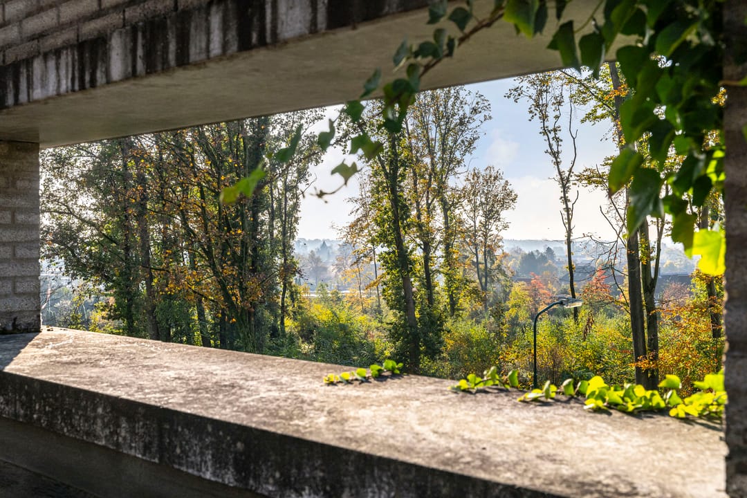 Foto 46 van Lomboklaan 24