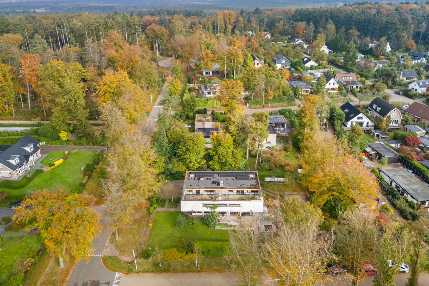 Foto 55 van Lomboklaan 24