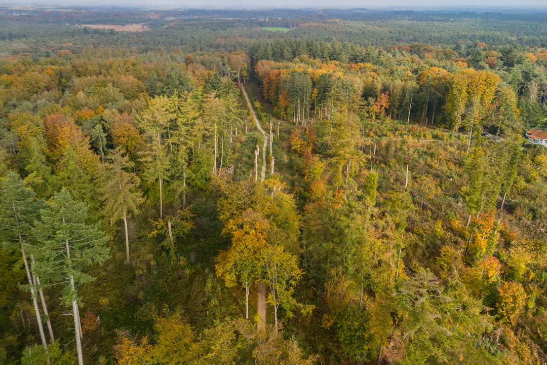 Foto 58 van Lomboklaan 24