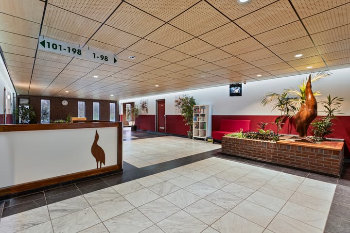 Photo 7 of De Roerdomp 193