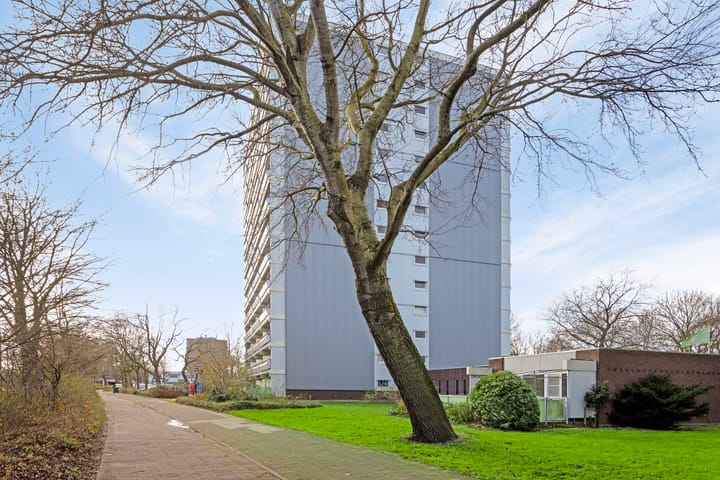 Photo 25 of De Roerdomp 193