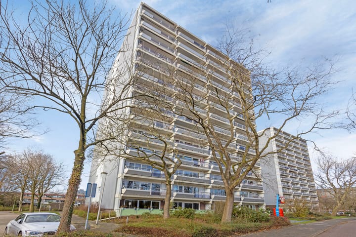 Photo 6 of De Roerdomp 193