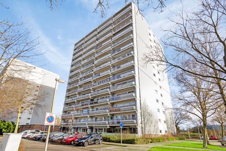 Foto 2 van De Roerdomp 193