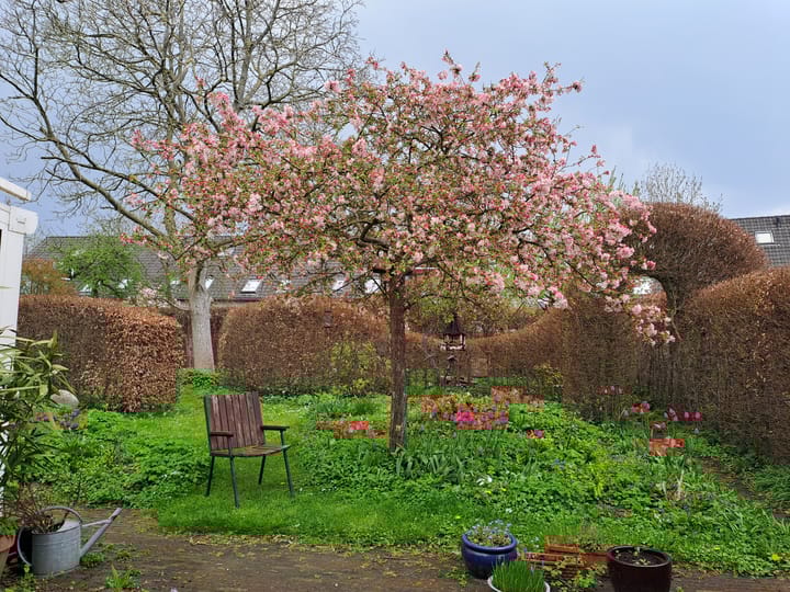 Foto 46 van Melrose 52