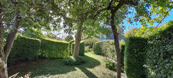 Foto 50 van Melrose 52