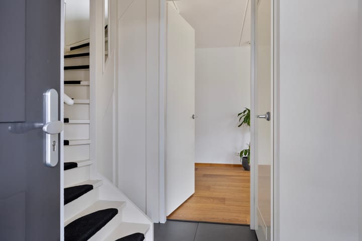 Foto 4 van Lisdodde 9