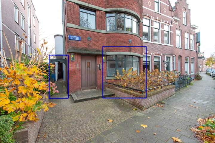 Bekijk foto 1 van Steijnstraat 1