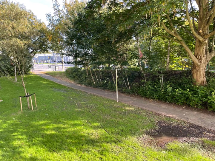 Foto 21 van Vliestroom 17