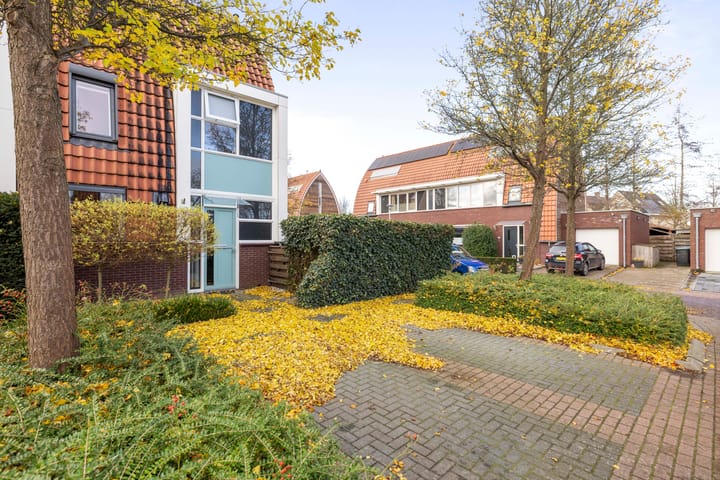 Foto 3 van Goudvink 10