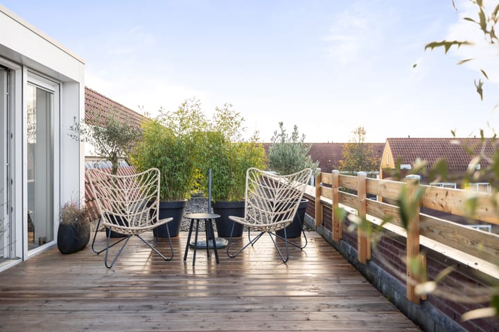 Photo 31 of Goudvink 10