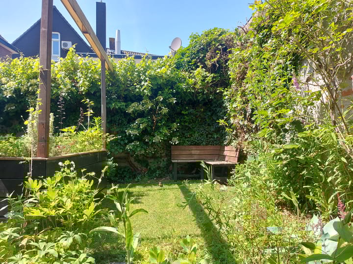 Foto 62 van Rechterstraat 47