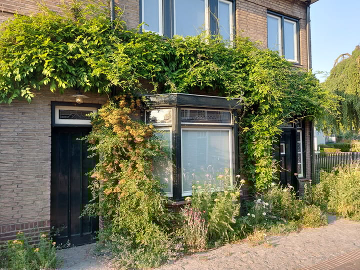 Foto 63 van Rechterstraat 47