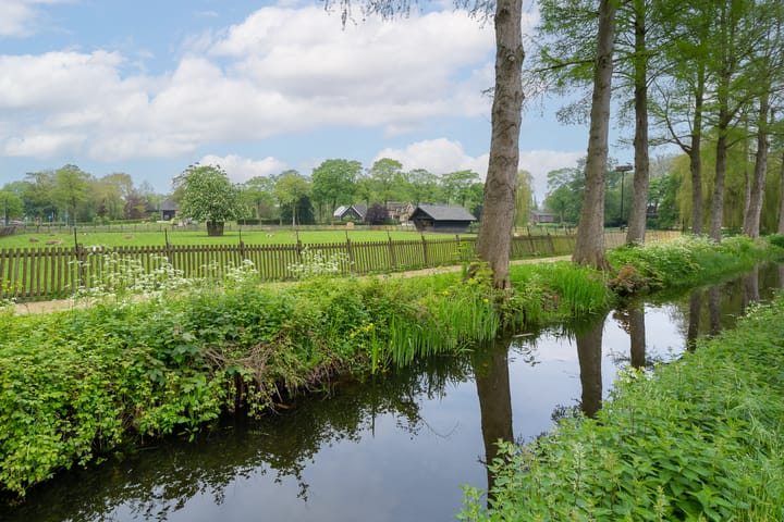 Foto 47 van Ridderstraat 20