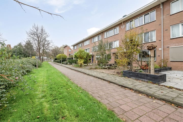 Photo 51 of Boerlagelaan 11