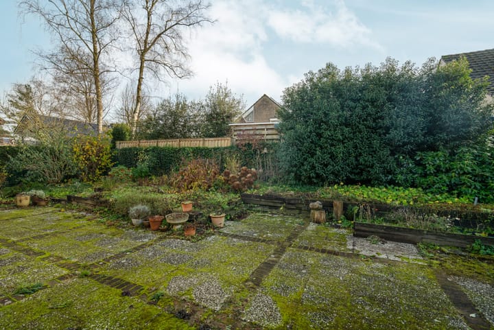 Foto 39 van Cornelis Dopperlaan 1-A