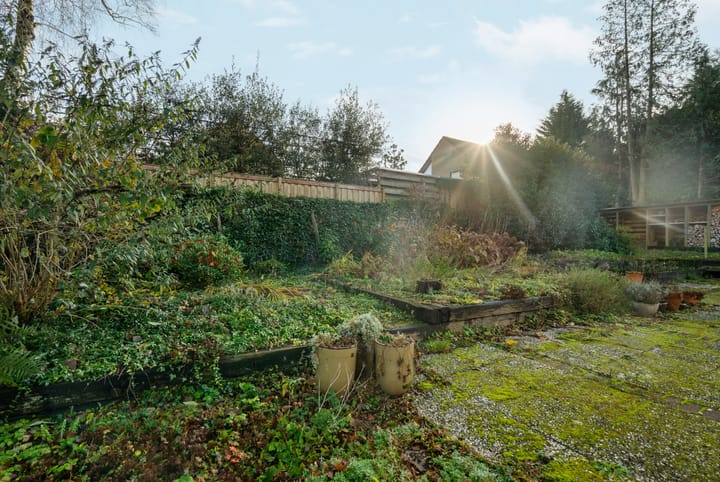 Foto 40 van Cornelis Dopperlaan 1-A