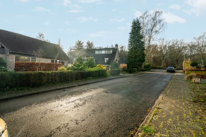 Foto 45 van Cornelis Dopperlaan 1-A