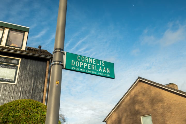 Foto 48 van Cornelis Dopperlaan 1-A