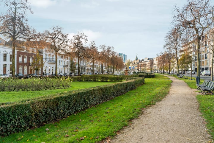 Bekijk foto 38 van Jansbinnensingel 28-1