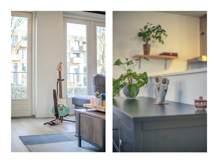 Foto 6 van Heivlinder 27