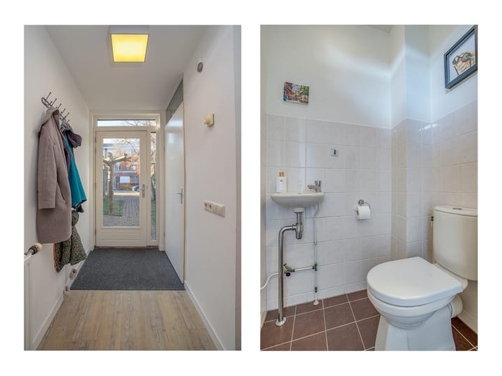 Foto 14 van Heivlinder 27