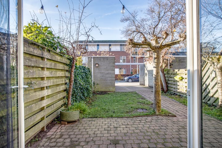 Foto 30 van Heivlinder 27