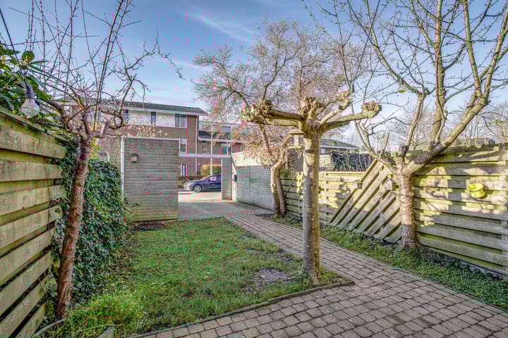 Foto 32 van Heivlinder 27