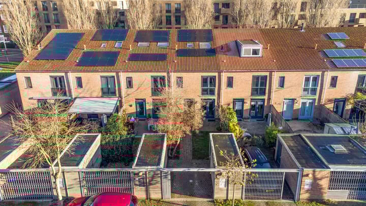 Foto 36 van Heivlinder 27