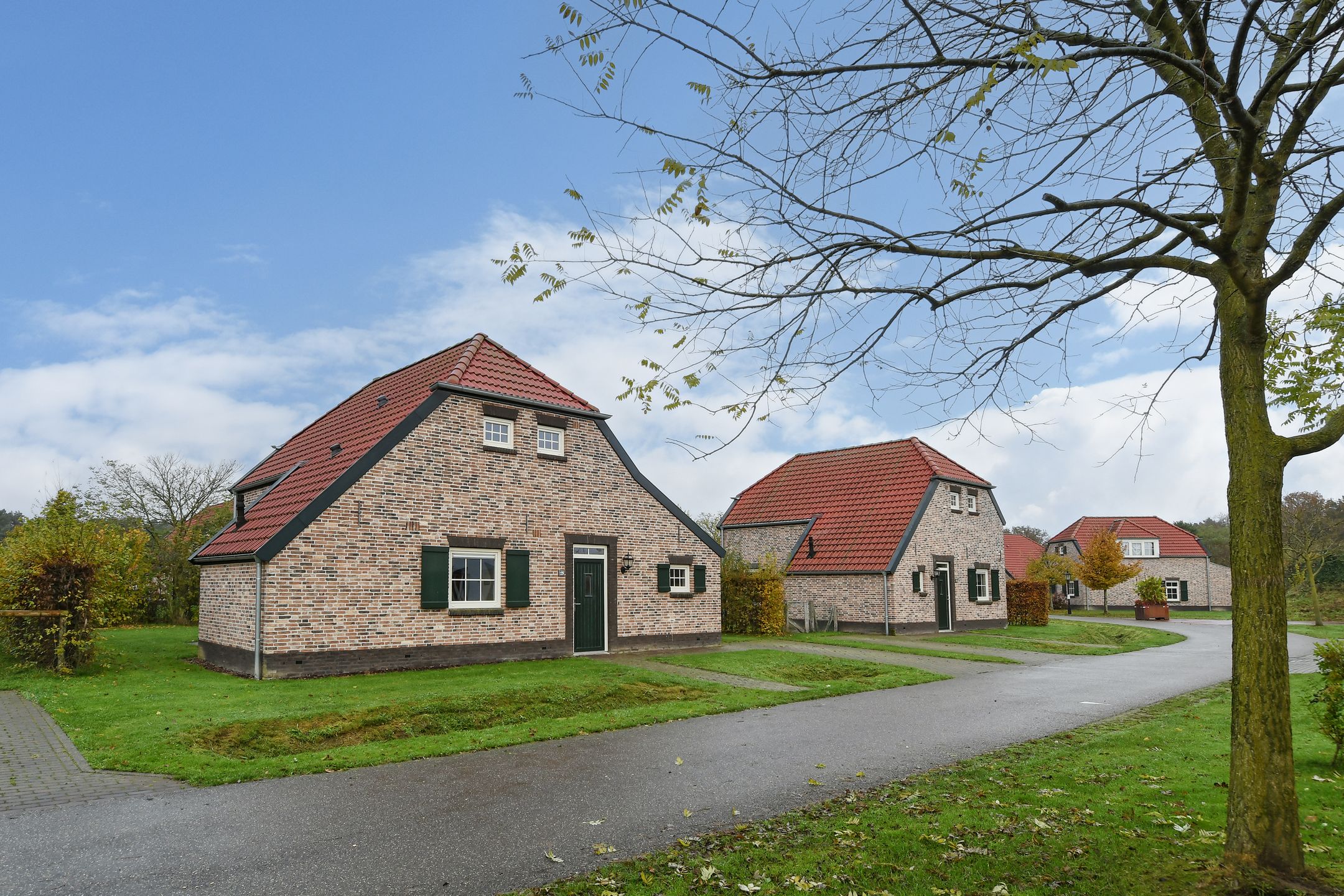 3-bedroom freehold villa in Roggel — photo 4 of 5