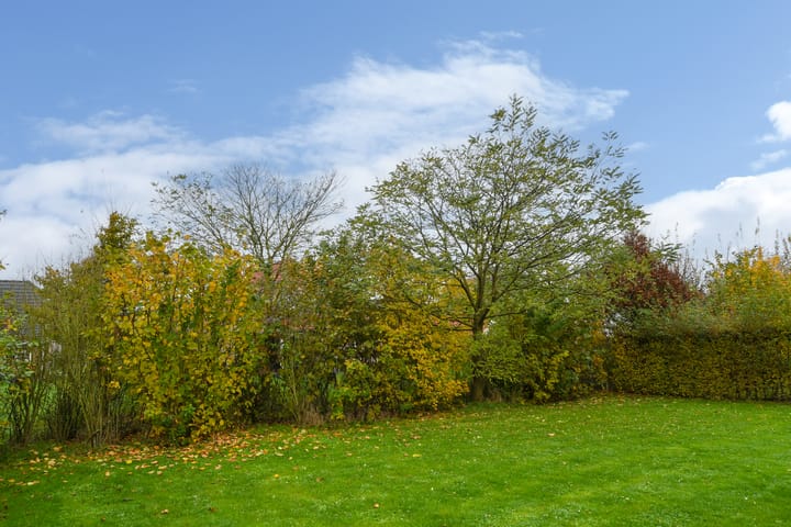 Foto 23 van Buitenhof de Leistert 129