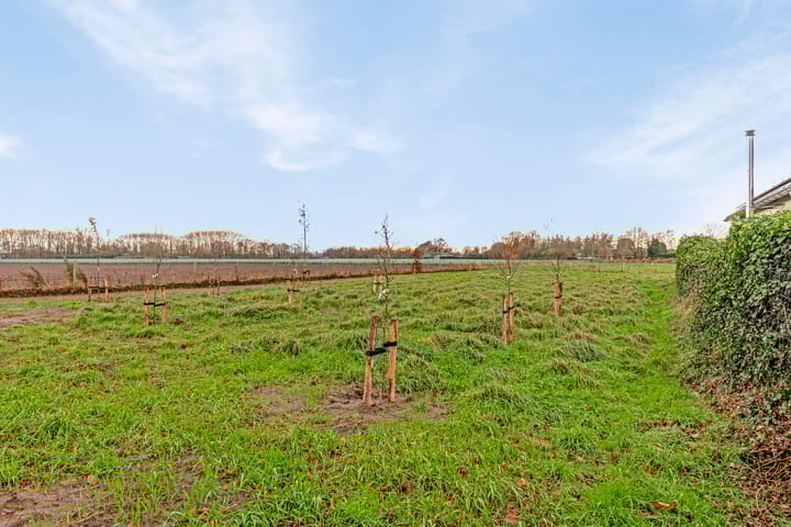 Foto 13 van Rijnstraat 18