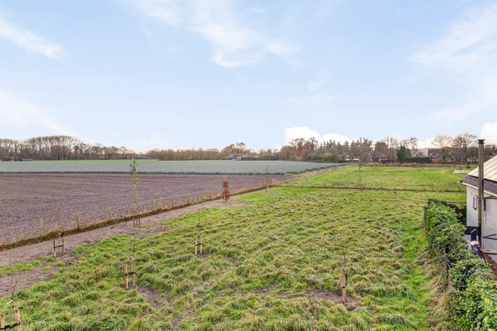 Foto 2 van Rijnstraat 18