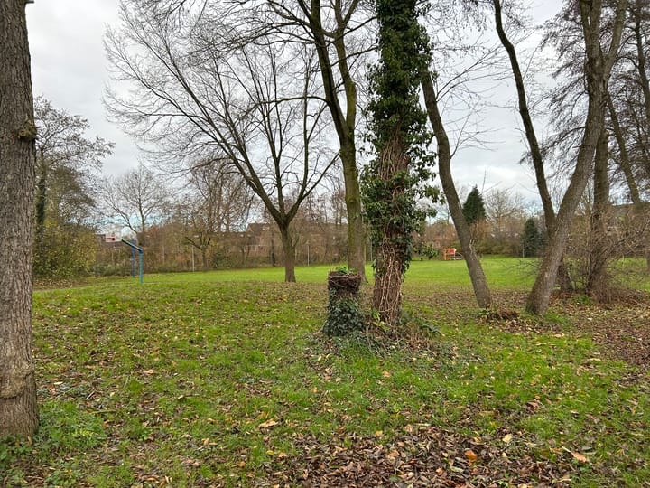 Foto 29 van Westerd 50