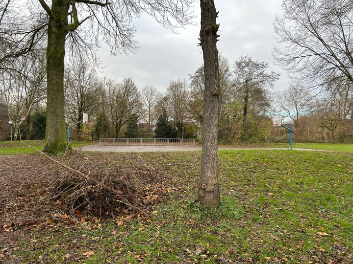 Foto 30 van Westerd 50