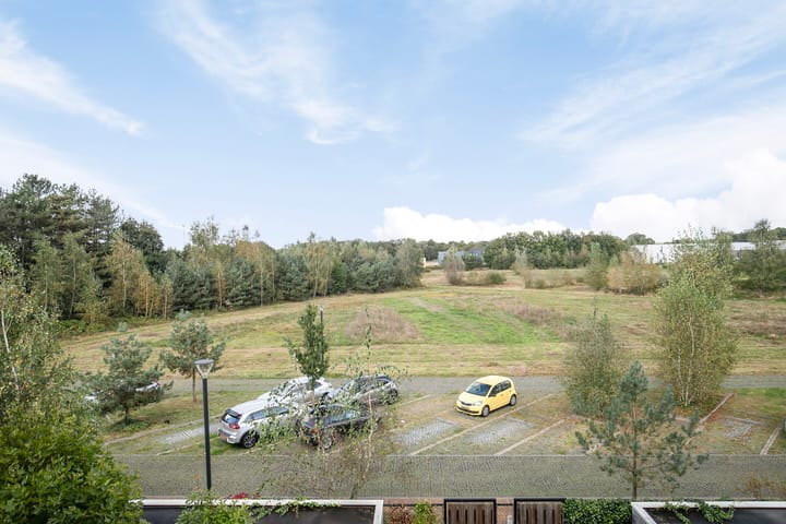 Photo 39 of Waterlinie 101