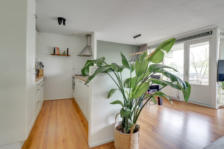 Foto 11 van Paranádreef 107