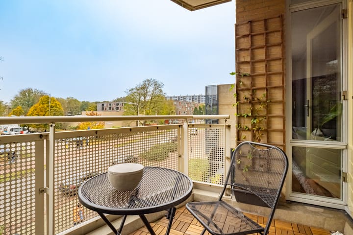 Foto 14 van Paranádreef 107