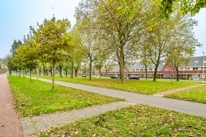 Foto 30 van Paranádreef 107