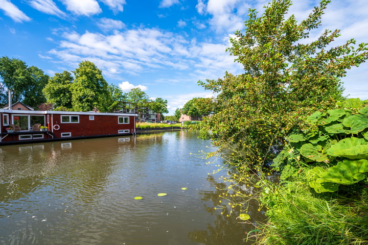 Bekijk foto 32 van Paranádreef 107