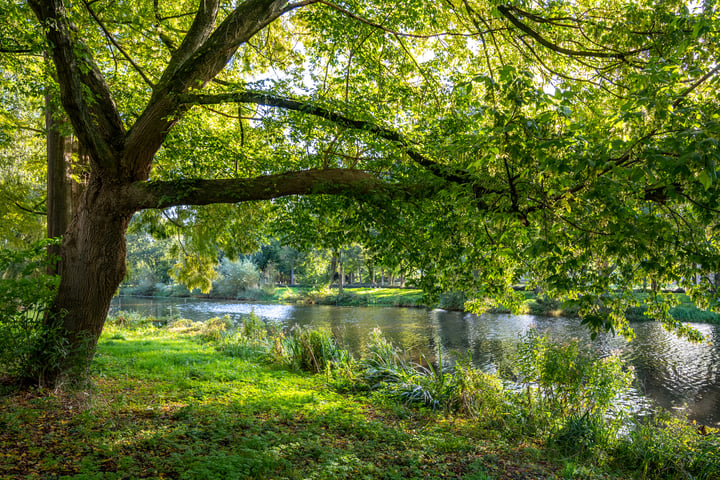 Bekijk foto 36 van Paranádreef 107