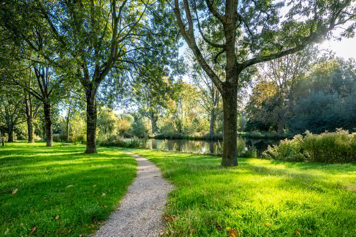 Foto 37 van Paranádreef 107