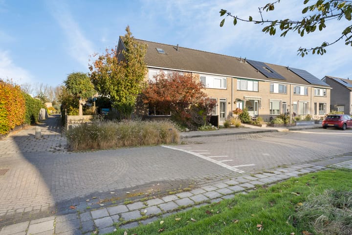 Foto 7 van Penningkruid 59