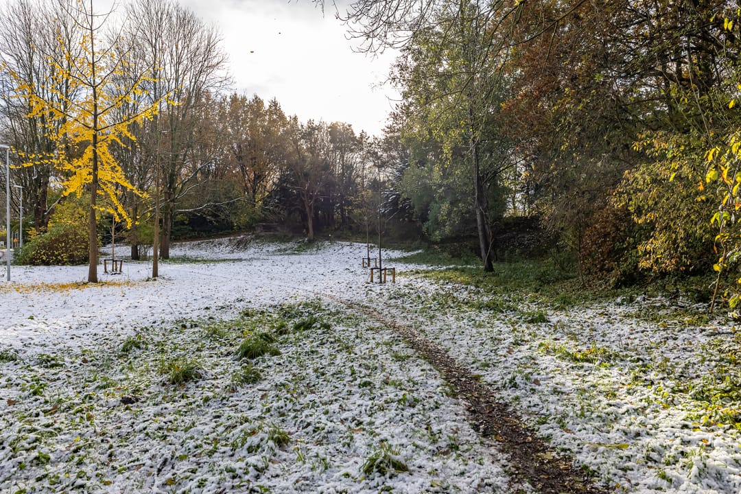 Foto 52 van Nijhofflaan 4