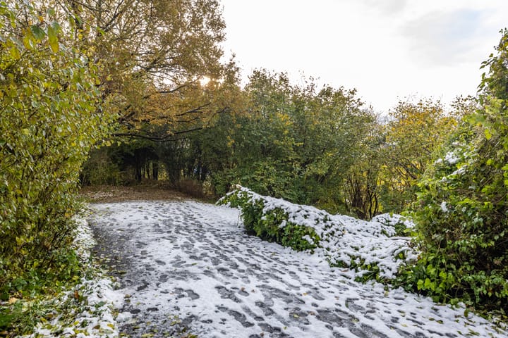 Foto 53 van Nijhofflaan 4