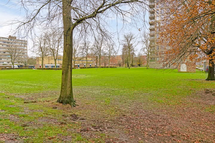 Foto 25 van Zangvogelweg 105