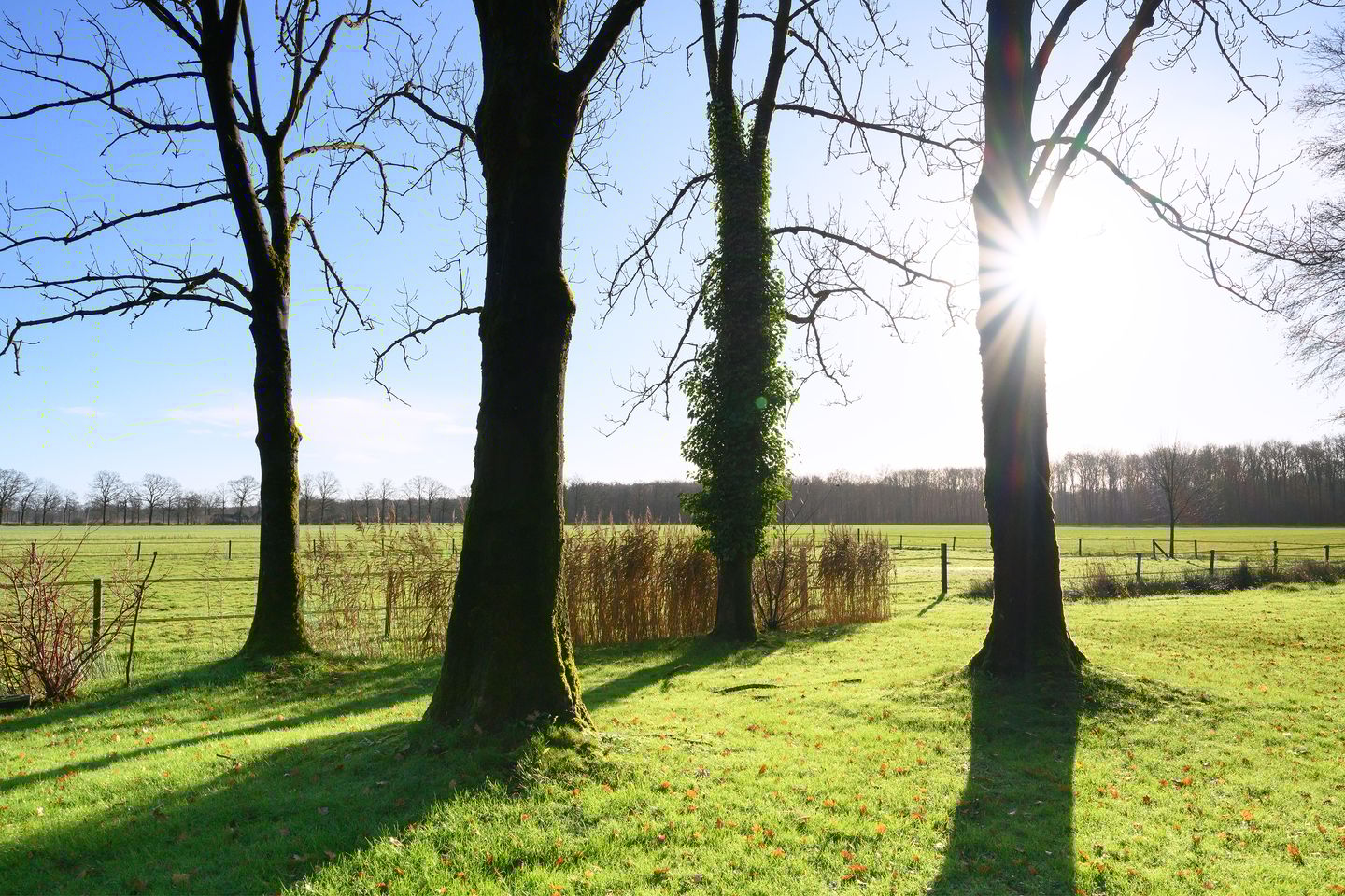 Foto 49 van Eerbeekseweg 23-A