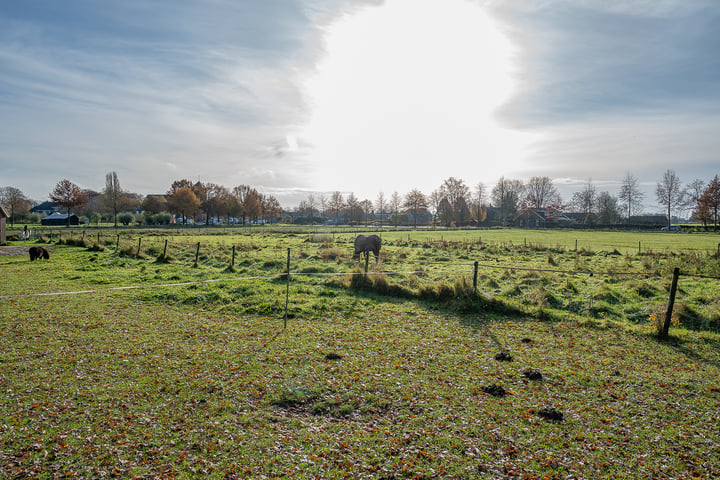 View photo 15 of Zaarbelinkdijk 3-B