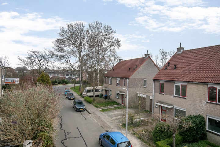 View photo 24 of Zenegroen 148