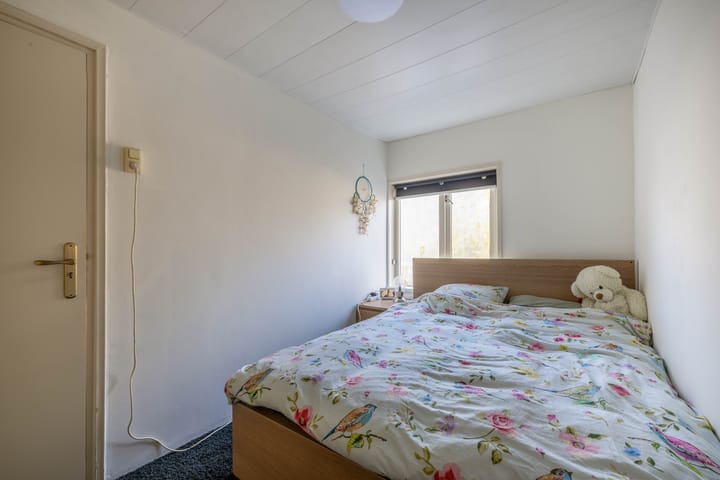 Photo 19 of Julianastraat 12